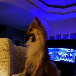 Meet your Posher, Gina